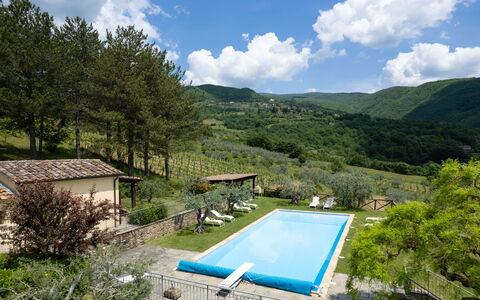 Villa Olivi Pool: Pflanze, Wasser, Wolke, Himmel, Eigentum, Schwimmbad, Azurblau, Baum, Natürliche Landschaft, Berg