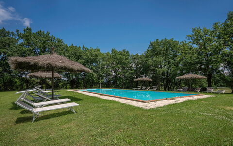 Villa Belvedere - Ambra: Himmel, Eigentum, Pflanze, Wasser, Schwimmbad, Schatten, Baum, Haus, Grundstueck, Gras