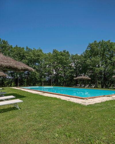 Villa Belvedere - Ambra: Himmel, Eigentum, Pflanze, Wasser, Schwimmbad, Schatten, Baum, Haus, Grundstueck, Gras