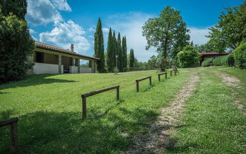 Borgo la Casina: Wolke, Himmel, Pflanze, Eigentum, Natürliche Landschaft, Baum, Grundstueck, Sonnenlicht, Zaun, Landschaft