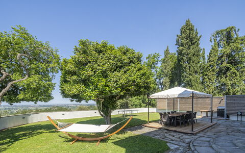 Massarosa Front Lake, The Gargoyles: Baum, Garten, Grundstueck, Möbel, Schatten, Gartenmöbel, Rasen, Landscaping, Stuhl, Garten