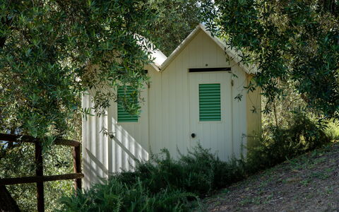 Villa Luxury Marignana: Pflanze, Natürlichen Umgebung, Holz, Gebäude, Baum, Tür, Gras, Gehölz, Natürliche Landschaft, Ländliches Gebiet