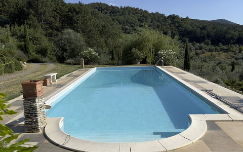 Villa Monticello: Wasser, Himmel, Wasservorräte, Schwimmbad, Pflanze, Gebäude, Baum, Schatten, Rechteck, Verbundwerkstoff
