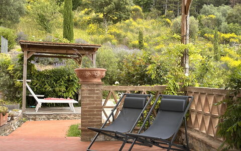 Villa Monticello: Pflanze, Möbel, Pflanzengemeinschaft, Außenbank, Gartenmöbel, Natürliche Landschaft, Holz, Gras, Schatten, Baum