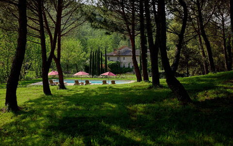Villa Dell'abate: Pflanze, Natürliche Landschaft, Schatten, Botanik, Baum, Ast, Vegetation, Sonnenlicht, Grundstueck, Gras