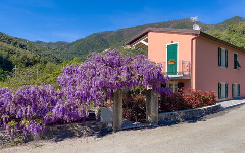 La Casa Dei Glicini - Levanto: Blume, Pflanze, Himmel, Gebäude, Fenster, Blau, Azurblau, Berg, Lila, Haus