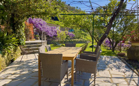 La Casa Dei Glicini - Levanto: Pflanze, Eigentum, Himmel, Blume, Lila, Baum, Strassenbelag, Tisch Im Freien, Vegetation, Schatten