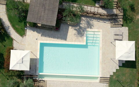 Villa Le Ripe - Gambassi Terme, Toscana: Pflanze, Grün, Natur, Blatt, Wasser, Botanik, Grundstueck, Urban Design, Vegetation, Steigung