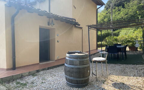 Villa Le Ripe - Gambassi Terme, Toscana: Pflanze, Gebäude, Fass, Autoreifen, Grundstueck, Schatten, Holz, Baum, Biome, Haus