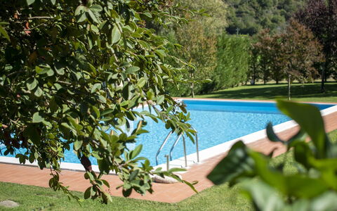 Villa Niccone: Wasser, Pflanze, Pflanzengemeinschaft, Grün, Schatten, Schwimmbad, Vegetation, Gartenmöbel, Gewässer, Gras