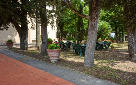 Villa Badiuzza: Pflanze, Baum, Blumentopf, Strassenbelag, Schatten, Urban Design, Gras, Freizeit, Stadt, Erholung