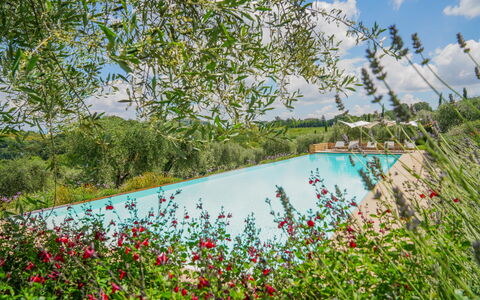 Villa Bartolomeo: Wasser, Pflanze, Blume, Himmel, Wolke, Natur, Baum, Natürliche Landschaft, Schwimmbad, Gras