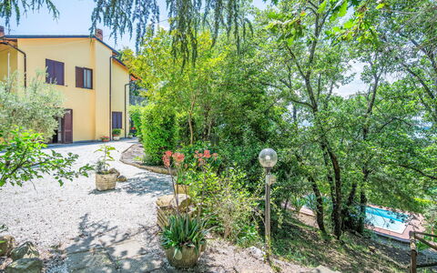 Mariani: Garten, Garten, Hinterhof, Landscaping, Fahrrad, Zimmerpflanze