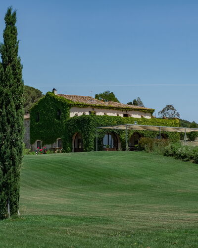 Villa Bagnoli: Himmel, Pflanze, Natürliche Landschaft, Grundstueck, Gras, Lärche, Baum, Immergrün, Landschaft, Graspflanze