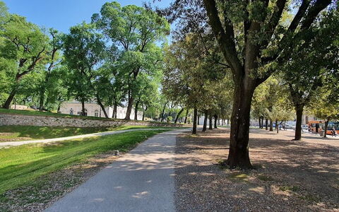 La Colonna: Baum, Ast, Gras, Blatt, Natur, Strassenbelag, Öffentlicher Raum, Kofferraum, Einfach, Bürgersteig