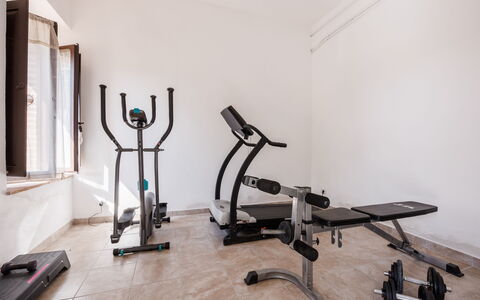 Anilde, Holiday Home with Pool, Wifi, Tuscany: Holz, Fussboden, Flooring, Gebäude, Hartholz, Maschine, Metall, Trainingsgerät