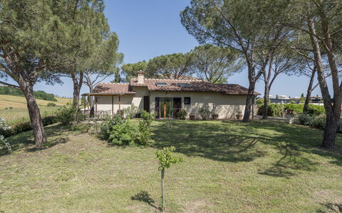 Anilde, Holiday Home with Pool, Wifi, Tuscany: Pflanze, Himmel, Gebäude, Baum, Fenster, Natürliche Landschaft, Haus, Grundstueck, Gras, Hütte