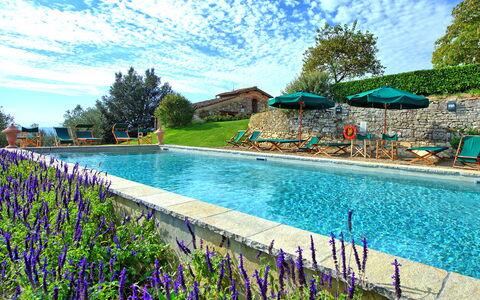 Villa Cona: Wasser, Wolke, Himmel, Blume, Pflanze, Schwimmbad, Natur, Azurblau, Baum, Natürliche Landschaft