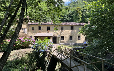 Molin Barletta, Private Pool, Nature - Marliana, T: Pflanze, Fenster, Gebäude, Baum, Natürliche Landschaft, Haus, Grundeigentum, Blume, Hütte, Holz