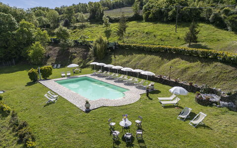 Podere Marcigliana - Radicondoli: Pflanze, Pflanzengemeinschaft, Wasser, Baum, Grundstueck, Vegetation, Gras, Himmel, Schwimmbad, Strauch