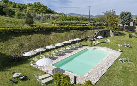 Podere Marcigliana - Radicondoli: Wolke, Pflanze, Wasser, Himmel, Schwimmbad, Baum, Gras, Gartenmöbel, Urban Design, Landschaft