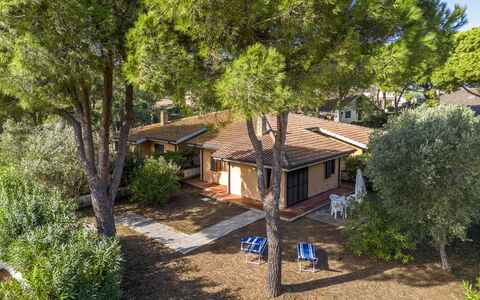 Giannella Apartment - Orbetello, Toscana: Pflanze, Fenster, Gebäude, Baum, Haus, Holz, Hütte, Natürliche Landschaft, Freizeit, Landschaft