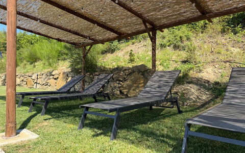 Villa Luana: Gartenmöbel, Möbel, Schatten, Garten, Outdoor Struktur, Sonnenliege, Natürliches Material, Hartholz, Hinterhof, Tisch Im Freien
