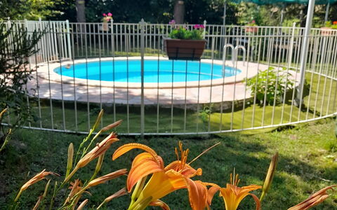 Podere Elsa: Pflanze, Blume, Wasser, Botanik, Natur, Baum, Zaun, Gras, Schatten, Schwimmbad