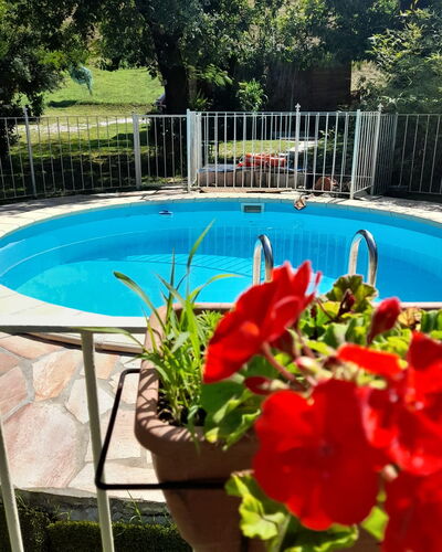 Podere Elsa: Wasser, Blume, Pflanze, Gebäude, Schwimmbad, Blumentopf, Baum, Azurblau, Botanik, Zaun