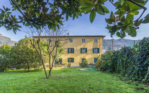 Casale Il Farro - Camaiore, Toscana: Pflanze, Himmel, Eigentum, Fenster, Blatt, Grün, Natur, Botanik, Grundstueck, Vegetation
