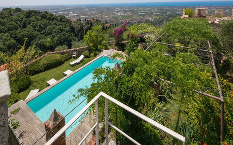 Villa Maestosa - Camaiore, Toscana: Wasser, Eigentum, Himmel, Botanik, Gebäude, Baum, Pflanze, Die Architektur, Vegetation, Urban Design