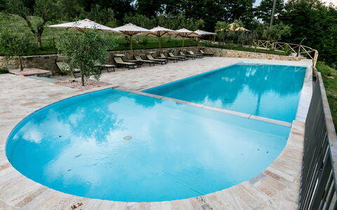 Villa Niccione: Wasser, Pflanze, Schwimmbad, Azurblau, Baum, Rechteck, Schatten, Aqua, Verbundwerkstoff, Freizeit