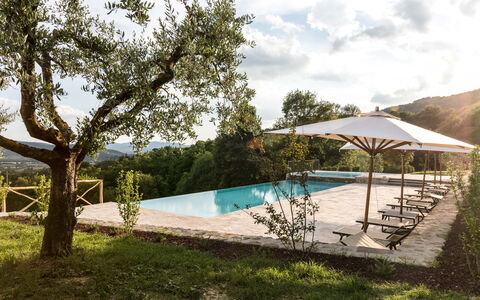 Villa Niccione: Pflanze, Wasser, Himmel, Wolke, Schwimmbad, Schatten, Baum, Grundstueck, Gartenmöbel, Freizeit