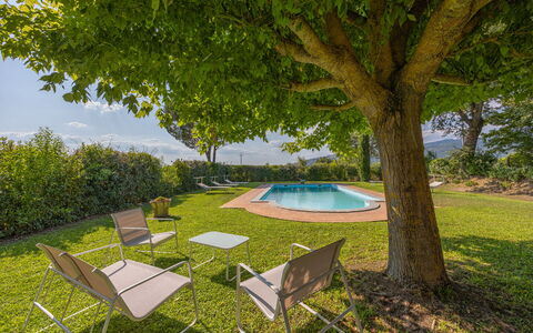 Villa Marconi: Pflanze, Pflanzengemeinschaft, Möbel, Tabelle, Baum, Schatten, Gartenmöbel, Grundstueck, Vegetation, Stuhl
