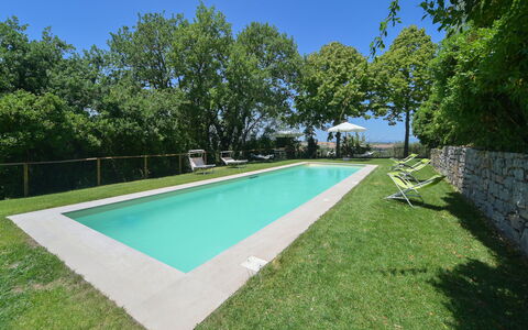 Pietreto: Pflanze, Himmel, Schwimmbad, Wasser, Baum, Schatten, Grundstueck, Rechteck, Gras, Flooring