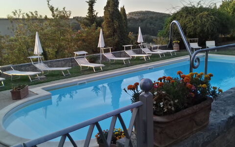Villa Delle Palme: Wasser, Pflanze, Schwimmbad, Blau, Azurblau, Baum, Himmel, Gartenmöbel, Blumentopf, Blume
