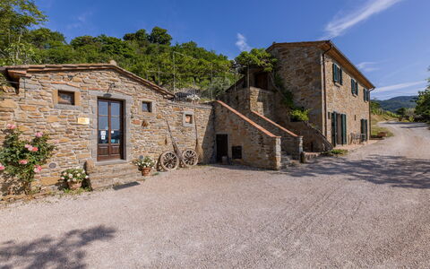 Casale Della Torre: Pflanze, Himmel, Wolke, Gebäude, Fenster, Eigentum, Haus, Baum, Grundstueck, Die Architektur