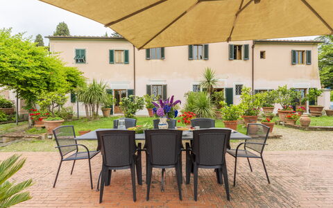 Villa Montegattoli, Pool, Landscape, Wifi, Ac: Pflanze, Tabelle, Möbel, Fenster, Gebäude, Stuhl, Gartenmöbel, Baum, Tisch Im Freien, Gelb