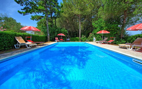 Leccino: Wasser, Pflanze, Möbel, Schwimmbad, Baum, Stuhl, Gebäude, Schatten, Gartenmöbel