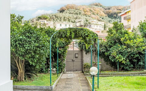 Moneglia 160: Grün, Strauch, Garten, Schatten, Hecke
