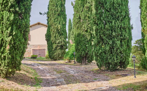 Villa Conte Jacopo: Pflanze, Himmel, Grundstueck, Gras, Immergrün, Hecke, Natürliche Landschaft, Baum, Strauch, Landschaft