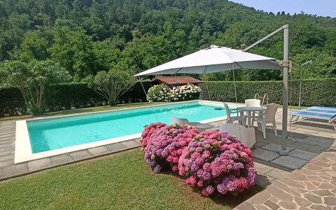 Villa Carducci: Himmel, Pflanze, Wasser, Eigentum, Schwimmbad, Regenschirm, Blume, Gartenmöbel, Schatten, Baum