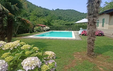 Villa Carducci: Pflanze, Wasser, Blume, Himmel, Botanik, Grün, Azurblau, Baum, Natürliche Landschaft, Schwimmbad