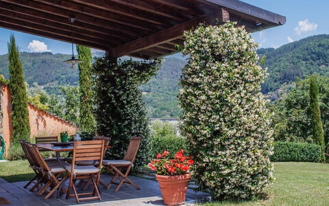 Villa Gelsomino: Pflanze, Himmel, Eigentum, Blumentopf, Blatt, Botanik, Baum, Blume, Schatten, Berg