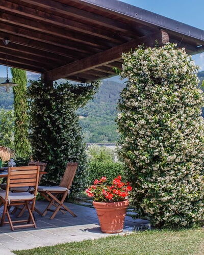 Villa Gelsomino: Pflanze, Himmel, Eigentum, Blumentopf, Blatt, Botanik, Baum, Blume, Schatten, Berg