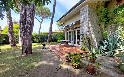 Casa La Pineta: Pflanze, Eigentum, Gebäude, Natur, Baum, Blumentopf, Himmel, Grundstueck, Arecales, Gras
