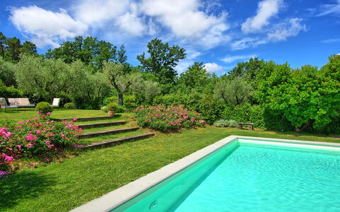 Villa Mami: Pflanze, Wasser, Himmel, Wolke, Eigentum, Grün, Natürliche Landschaft, Baum, Blume, Gras