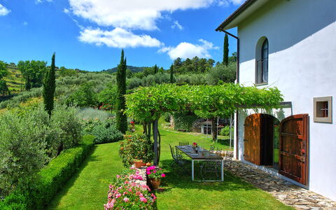 Villa Mami: Pflanze, Wolke, Blume, Himmel, Grün, Fenster, Natürliche Landschaft, Gebäude, Grundstueck, Vegetation