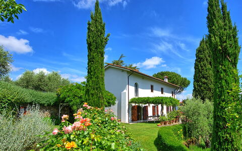 Villa Mami: Wolke, Blume, Himmel, Pflanze, Eigentum, Gebäude, Grün, Natürliche Landschaft, Baum, Botanik