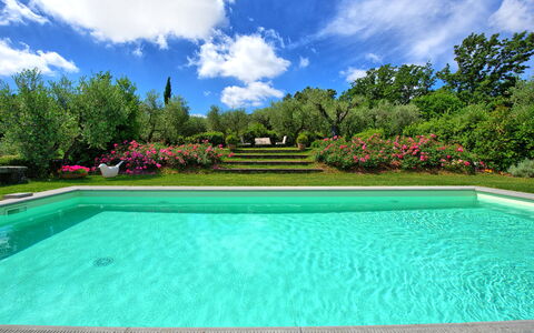 Villa Mami: Wasser, Wolke, Himmel, Pflanze, Schwimmbad, Baum, Azurblau, Rechteck, Gras, Freizeit